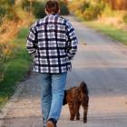 Saiba como levar o cachorro para passear pode ajudar a sua saúde