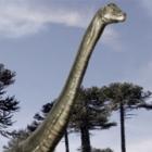 Dinossauros estavam em declínio antes da extinção, diz estudo