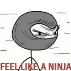 Feel Like a Ninja