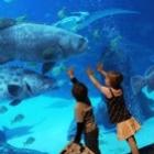 O maior aquário do mundo