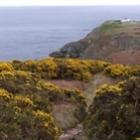 Momento Cultural - Uma visita a Howth