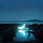 Artista russo cria 'lua particular' com ajuda de fotógrafos em todo mundo