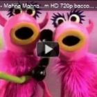 Muppets - Vergonha alheia