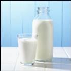 Dicas de saúde. Beber leite ajuda a emagrecer.