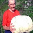 Russo encontra cogumelo de 8 quilos em floresta