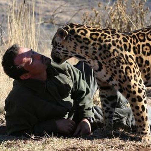 Pessoas que não tem medo de animais selvagens