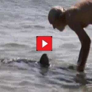 Homem enfrenta tubarão que apareceu na beira da praia