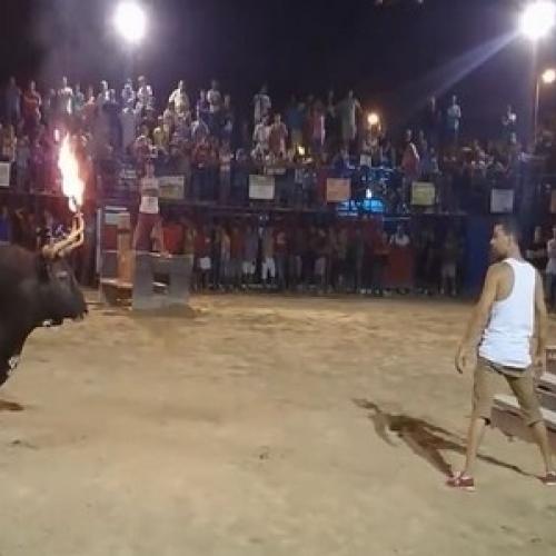 Homem é lançado a 3 metros de altura em festival de touradas