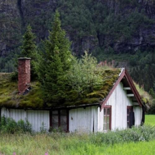 Imagens mostram coisas que só acontecem na Noruega