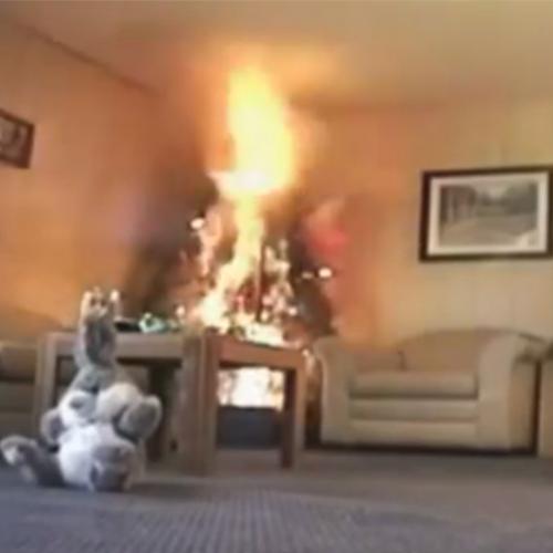 Árvores de natal e o risco de incêndio em sua casa