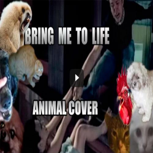 Evanescence – Bring Me To Life (Animal Cover)
