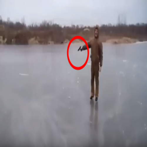 Veja o que acontece quando alguém resolve atirar em um lago congelado