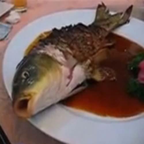 Peixe servido vivo em restaurante asiático