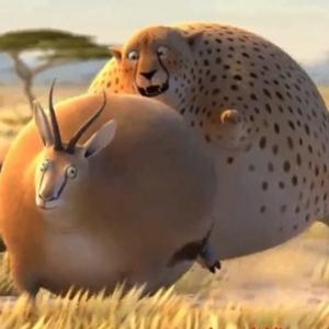 Vídeo hilário mostra a dura vida dos animais selvagens obesos