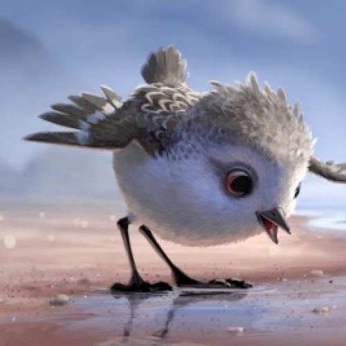 Veja o primeiro trailer de Piper, o novo curta da Pixar