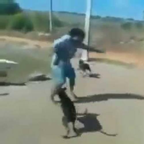 Mendigo Power Ranger vs Cachorros de Rua