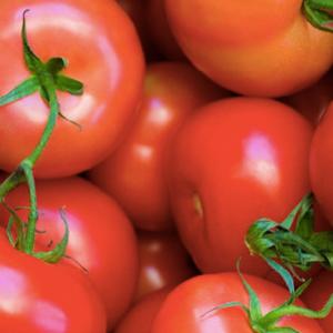 Benefícios do Tomate