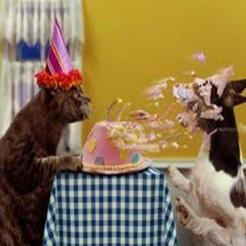 Gifs que descrevem como é uma festa de aniversario