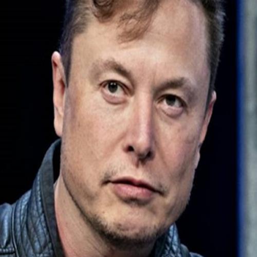 Elon Musk afirma que Tesla não vendeu 2021