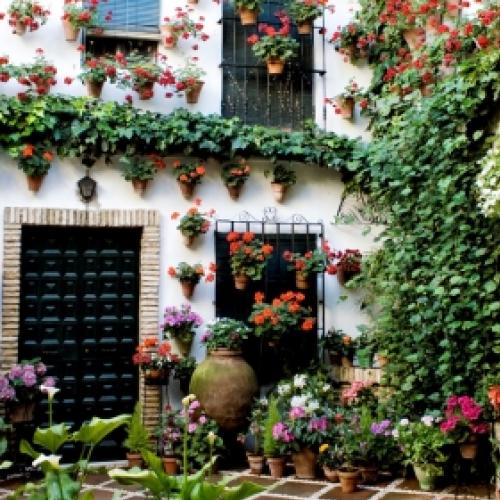 A beleza dos pátios floridos de Córdoba