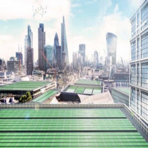 Novo projeto pretende limpar o ar de Londres com algas e plantas micro
