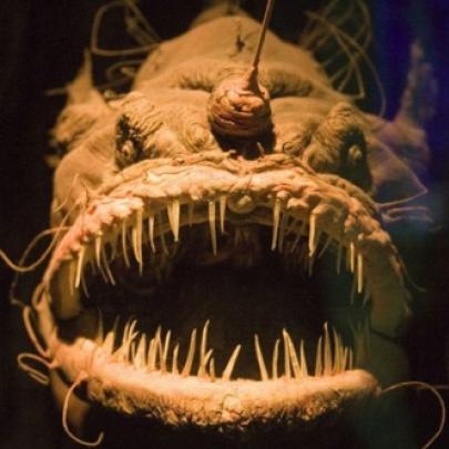 As 7 criaturas bizarras mais assustadoras dos oceanos