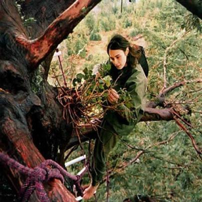 A incrível história da mulher que ficou 2 anos em cima de uma árvore