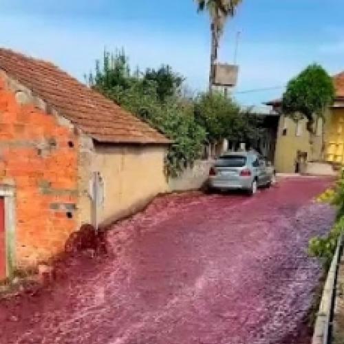 Veja o rio de vinho que se formou em Portugal