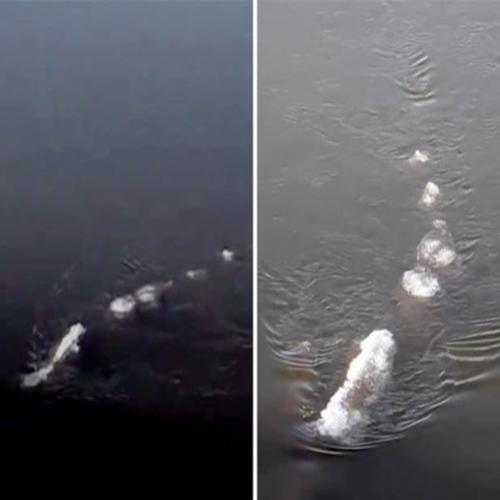 Criatura estranha 'prima de Nessie' assusta em rio no Alasca 