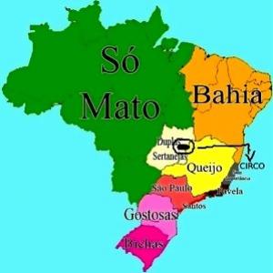 Minhas teorias - Os brasileiros são estadiotas
