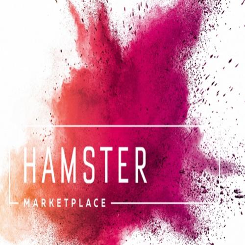 Hamster marketplace: a start-up baseada em blockchain e descentralizad