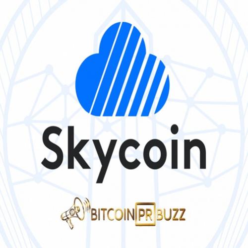 Skycoin firma parceria com a agência bitcoin pr buz