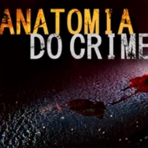 Na telinha: 4 séries policiais brasileiras para assistir na Netflix