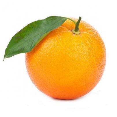 Tudo sobre a laranja