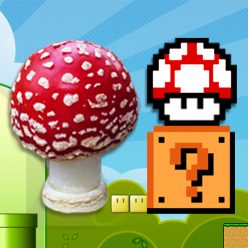 Você conhece o verdadeiro cogumelo de Mario Bros?