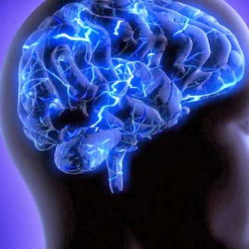 9 fatos incríveis sobre o cérebro humano
