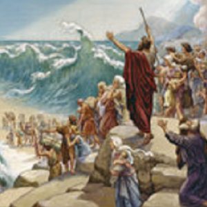 Estudo e Leitura da Bíblia em Vídeos - Livro do Êxodo. O Mar Vermelho;