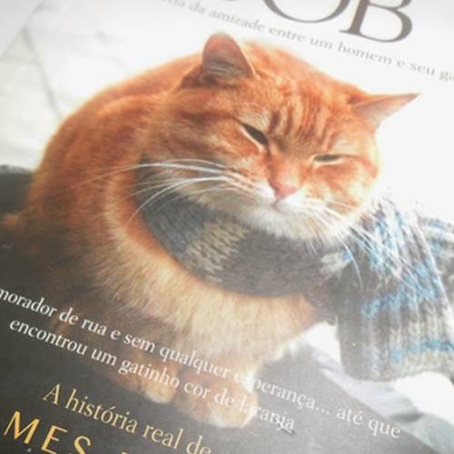 Resenha literário: Um gato de rua chamado Bob