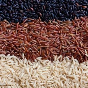 Estudo detecta concentrações expressivas de arsênio em arroz 