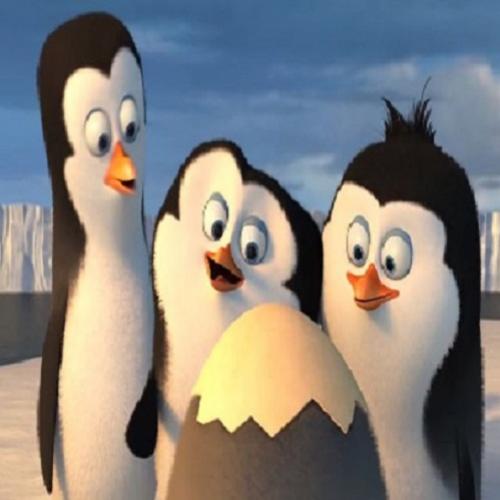 Curta dos Pinguins de Madagascar