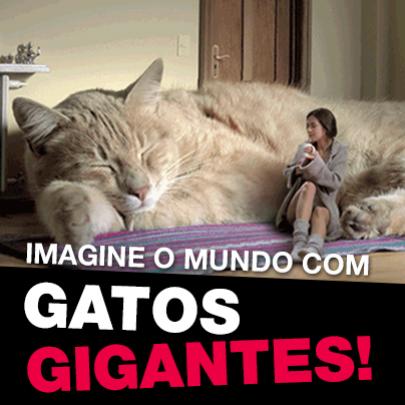 Gatos gigantes - Imagine o mundo com eles!