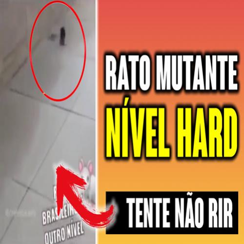 Quando o rato já está em outro nível de habilidade