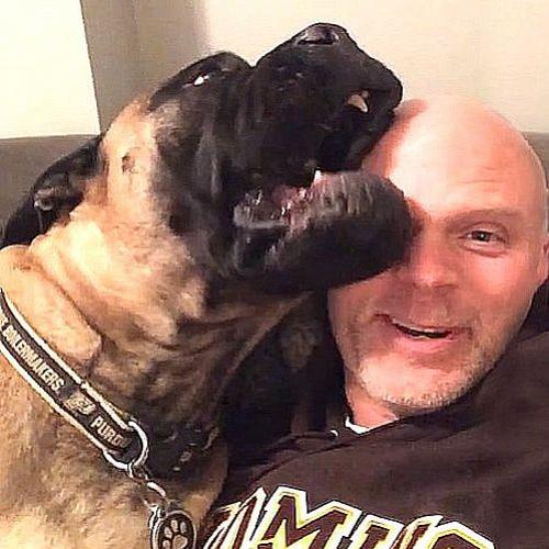 Cachorro gigante tenta impedir de todo jeito que dono abra boca pra...