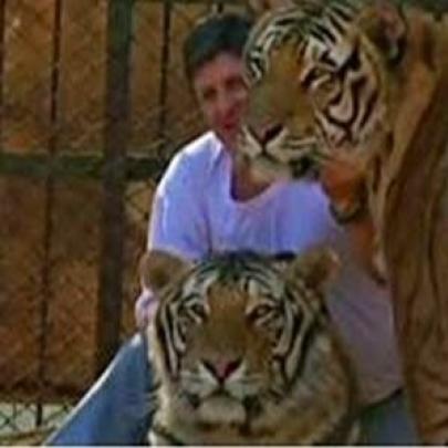 Para manter a posse de 9 tigres e 2 leões, família brasileira luta na 