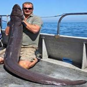  Pescador captura enguia gigante de 44 quilos
