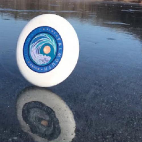 Jogando um frisbee em um lago congelado, o que acontece?