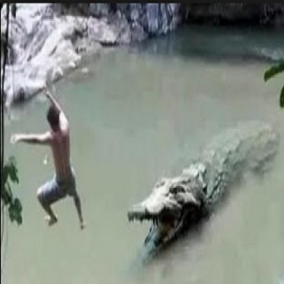 Homem é devorado por crocodilo ao cair em lago! 