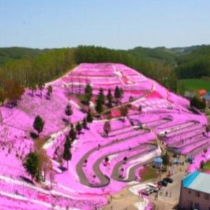 A colina rosa de Takinoue