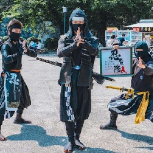 De onde vieram os ninjas e outras palavras