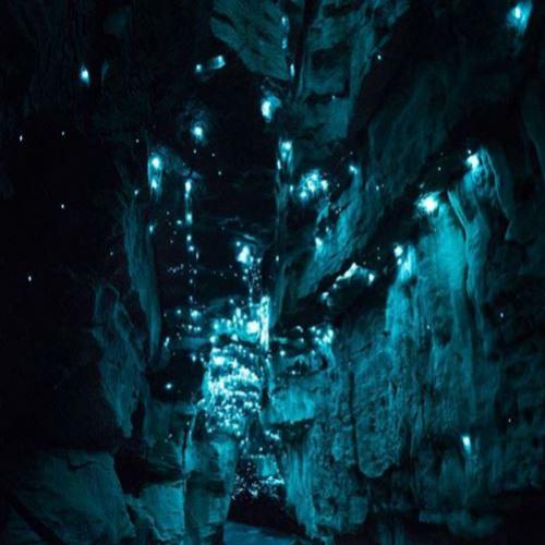 O que ilumina esta misteriosa caverna na Nova Zelândia?